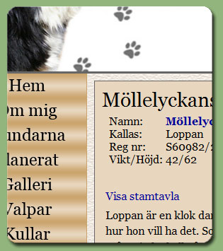 L�s mer om v�r kennel!